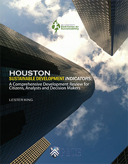 HSI 2012 Report Cover